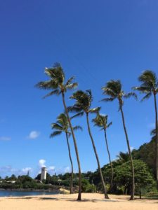 ハワイは、 “travel-safely bubbles” 「安全な旅行の輪」で、旅行可能に？！