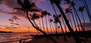 ハワイ オアフ島でコロナ新規症例3桁の急増