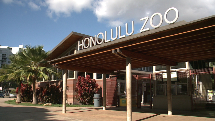 ホノルル動物園が今月後半にトワイライトツアーを再開