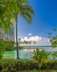 ハワイ旅行や観光がヒートアップするにつれ、ホテルの価格は上昇