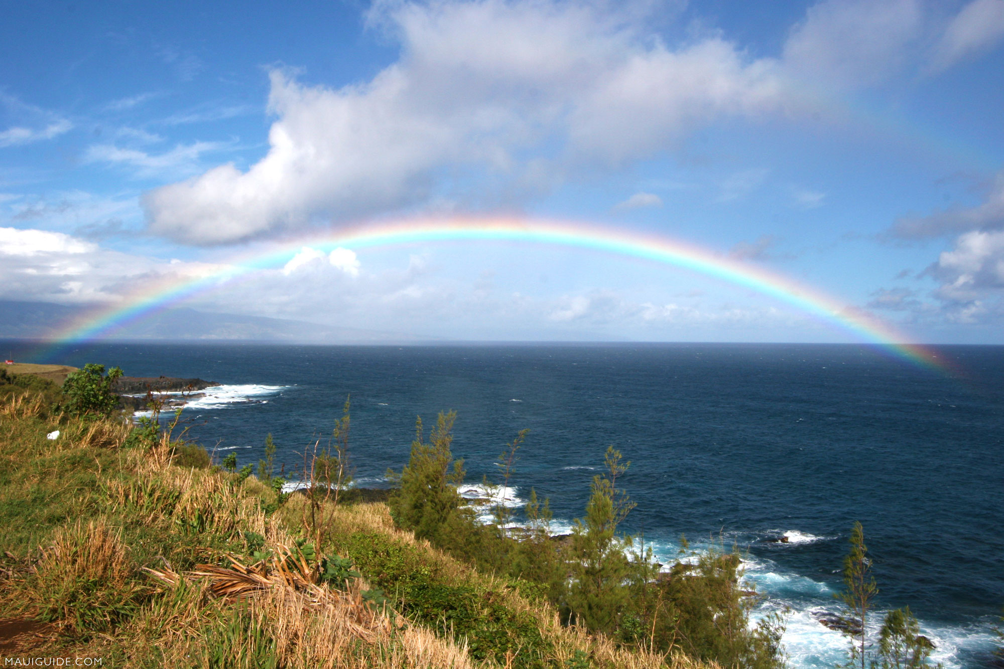 ハワイのマウイ島、カウアイ島、ハワイ島にもCOVID-19制限緩和を期待