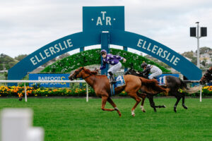 NZ エラズリー競馬場の備忘録と日本人騎手の大活躍