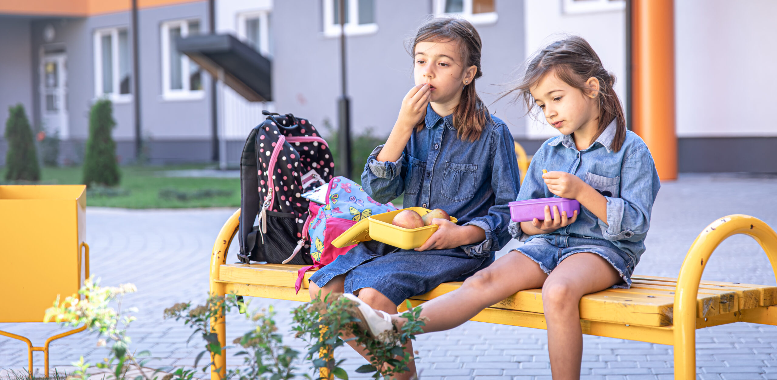 【NZ留学】子どもを「留学させたい」と思ったら読むべき記事