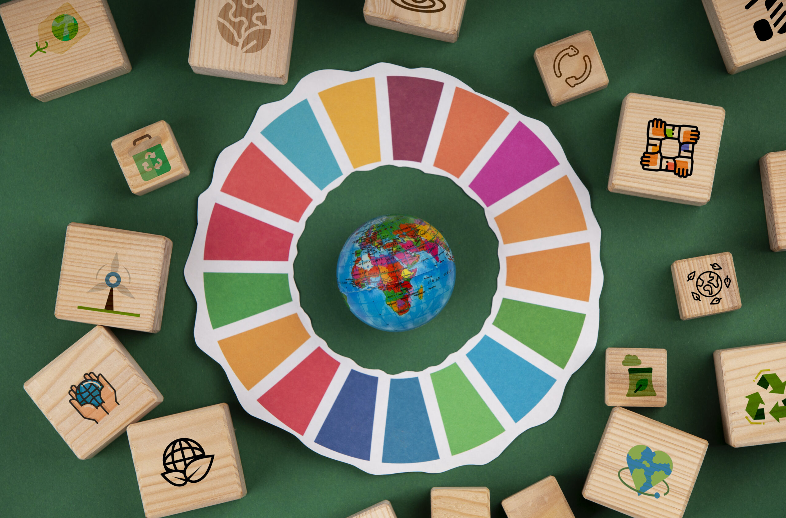 日本では学べない!? ニュージーランドのSDGs教育の魅力