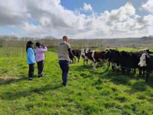 投稿についてもっと詳しく NZファームステイ体験談まとめ｜子どもも大人も感動した“本物の学び”と癒しの時間