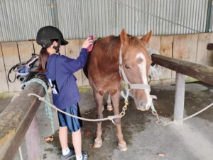 投稿についてもっと詳しく 【体験談】自然の中で自律心を育んだN様姉妹のNZファームステイ体験