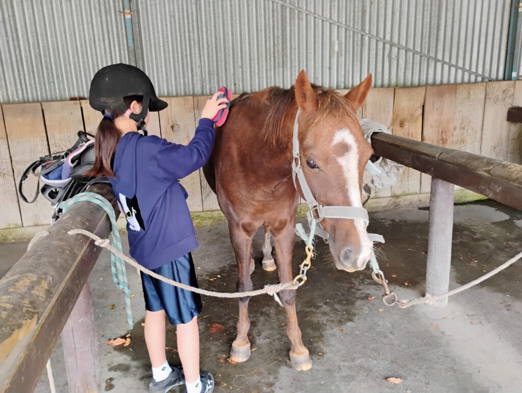 あなたが現在見ているのは 【体験談】自然の中で自律心を育んだN様姉妹のNZファームステイ体験