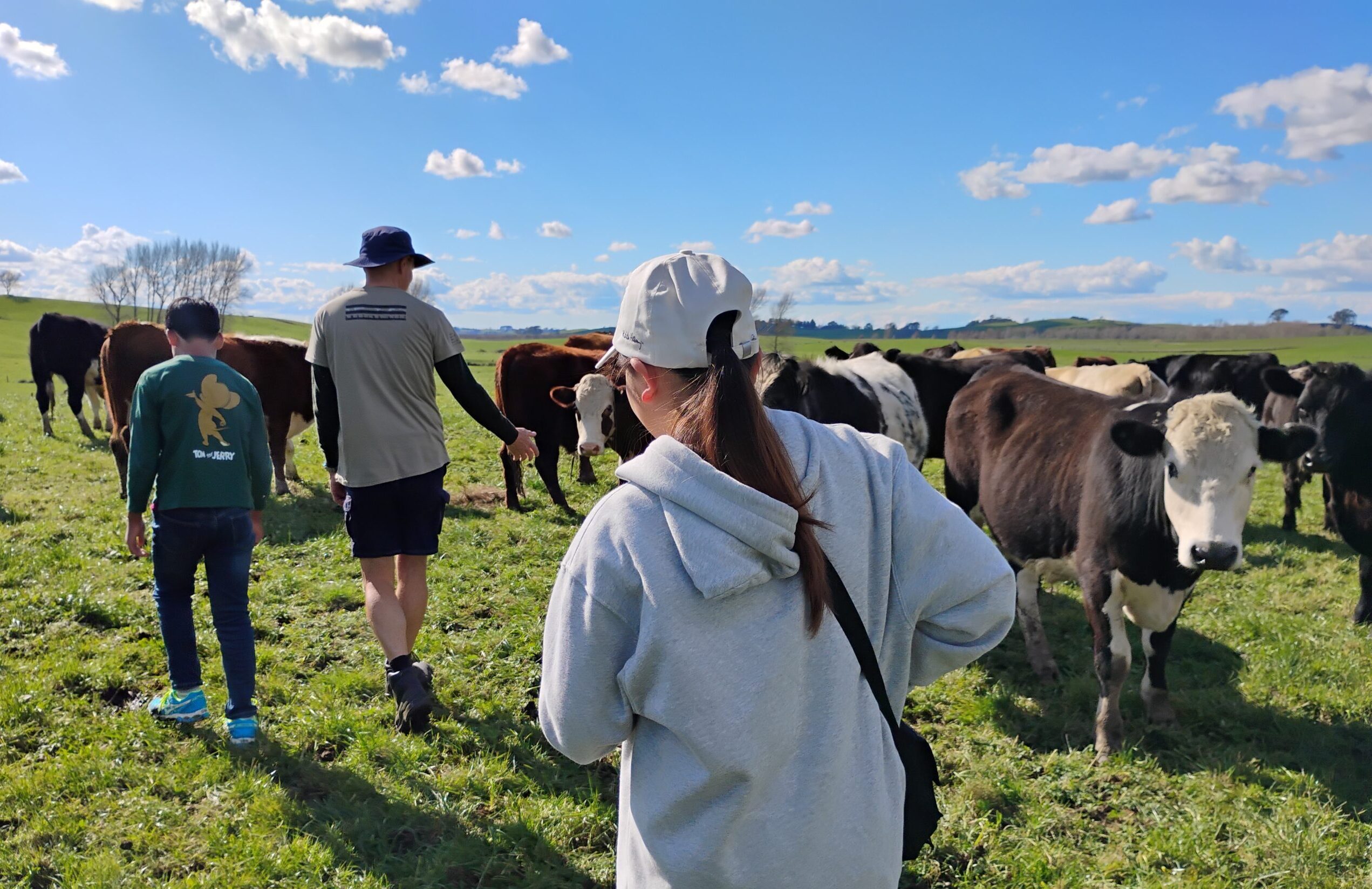 あなたが現在見ているのは 【2026年春休み】残り3枠！ニュージーランド「本物のファームステイ」で英語力と非認知能力を伸ばす！